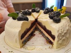 Nadin "Hope"-kakku mustikka-valkosuklaalla